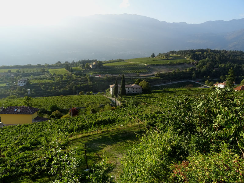 Giro del Monteghello -  sentiero F1 (Rovereto)